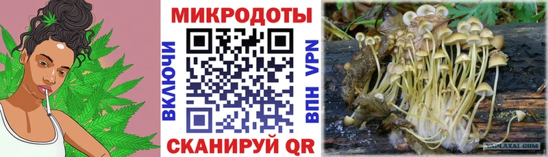 Галлюциногенные грибы GOLDEN TEACHER  Купить  Камызяк 