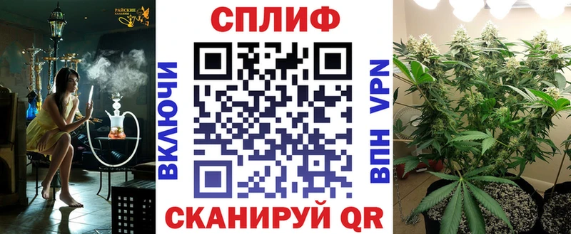 Купить где  Камызяк  Конопля тримм 